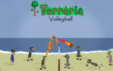 Terraria_volleyball_by_kleggt-d3j8tui